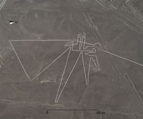 Japanese Researchers Rediscover 143 Nazca Geoglyphs in Peru | First ...