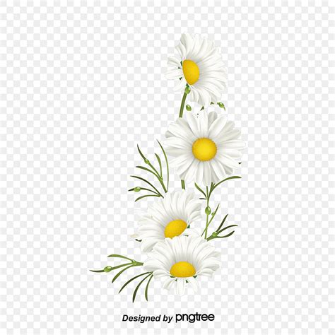 Hand Painted Material Hd Transparent Hand Painted Flowers Background