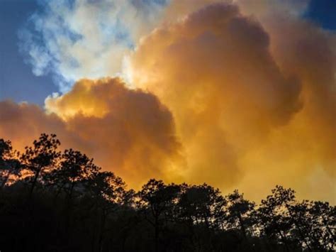 Incendio en sierra de Santiago Nuevo León arrasa con 55 hectáreas