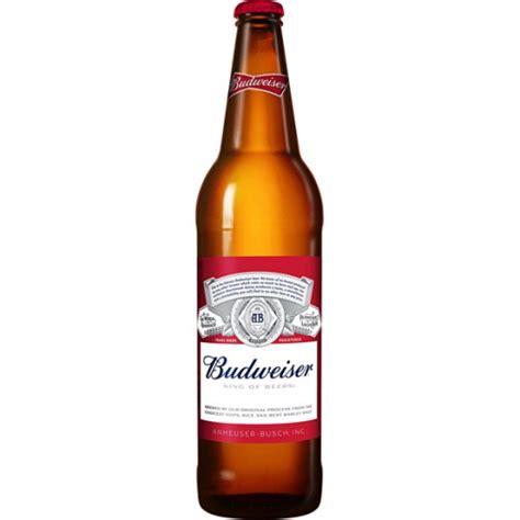 domestic beer  bottles java house