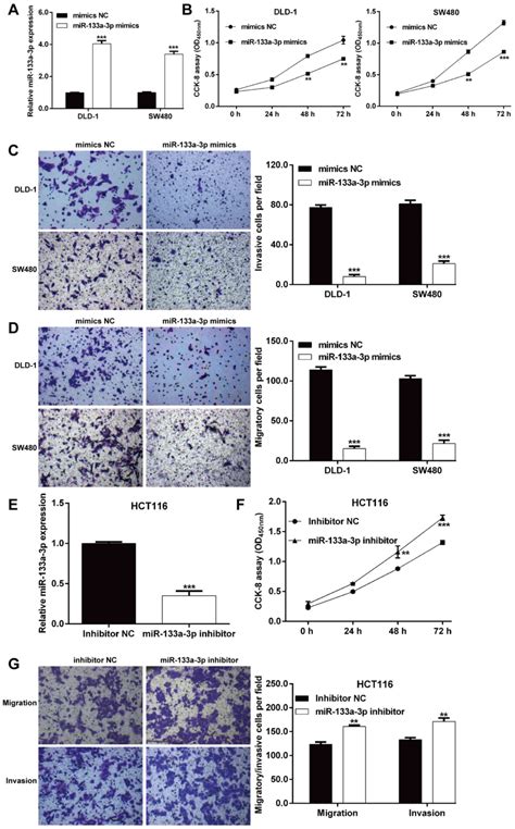 Microrna‑133a‑3p Inhibits Cell Proliferation Migration And Invasion In