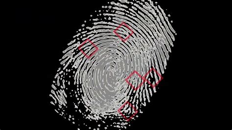 Fingerprinting Techniques Forensic Science