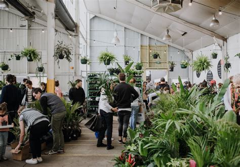 Huge Indoor Plant Warehouse Sale Tropicana Party