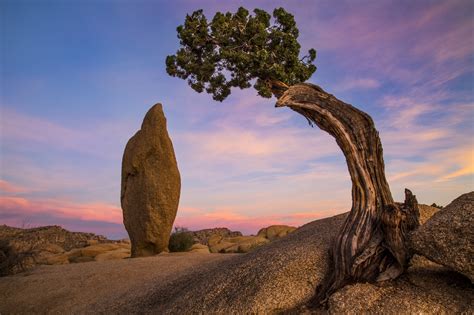 Wallpaper Trees Landscape Sunset Hill Rock Nature Sky