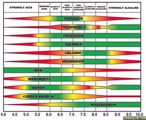 plant-nutrient-absorption-at-different-pH | 420 Magazine