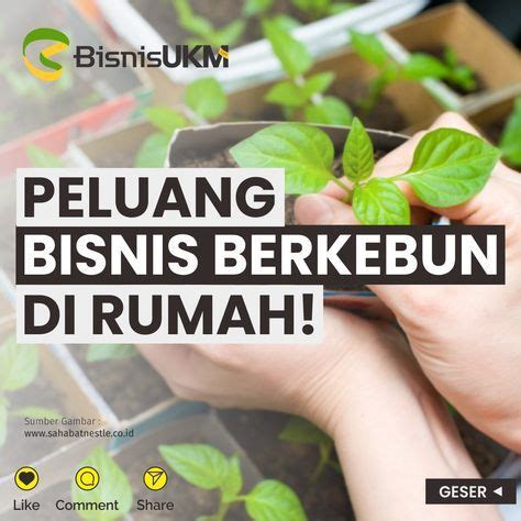 Berkebun Di Halaman Rumah Nggak Cuma Jadi Hobi Yang Menyenangkan Tapi