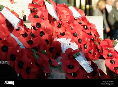 poppies wreath poppy remembrance Sunday world war one two army navy ...