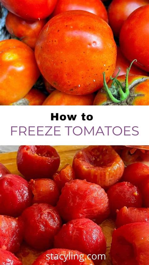 Freezing Tomatoes To Enjoy The Harvest Year Round Recipe Freezing Tomatoes Tomato Carb