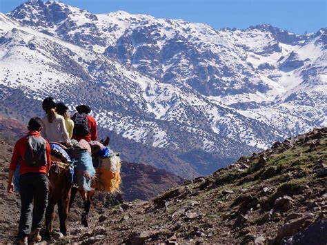 Morocco for families: From the Atlas Mountains to Saharan sands | The