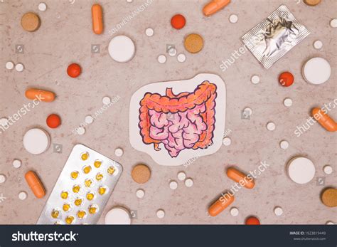 Treatment Prevention Intestine Diseases Variety Pills Stock Photo 1923819449 | Shutterstock