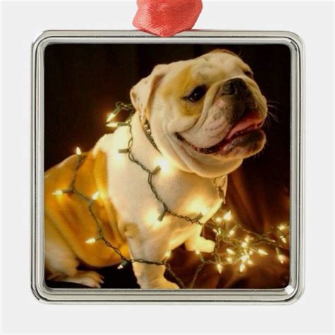 English Bulldog Christmas Tree Ornament Zazzle