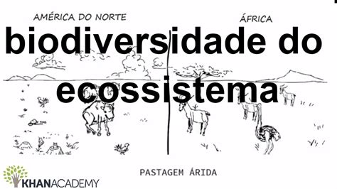 Atividades Sobre Ecossistema Ano Revoeduca