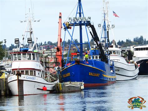 Fishermen's Terminal, Seattle WA Alaska Crab Boats, Seine Fishing Boats ...