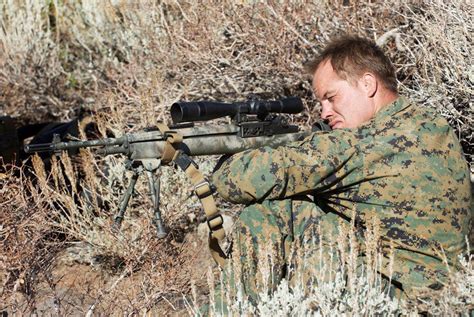 Us Marine Corps Scout Sniper Aiming An M Designated Marksman Rifle