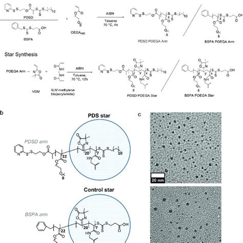 Star Polymer Synthesis A Synthesis And B Schematic Of Peripherally