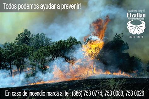 Blog de información de Etzatlán Hay 4 incendios forestales en la