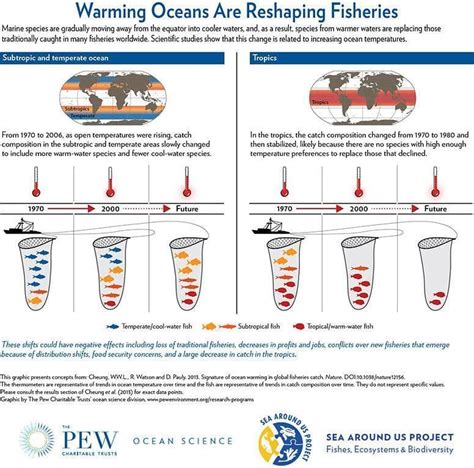 Warming Waters Are Changing Global Fish Catches | WBUR News