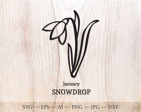 Snowdrop SVG, January Birth Flower SVG. Birth Month Flower Nowdrop ...