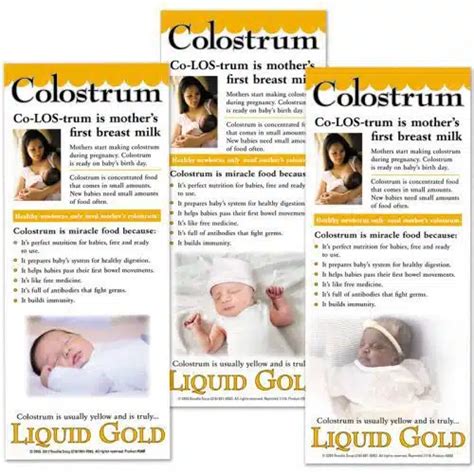 Colostrum To Mature Milk Flier Pack Noodle Soup