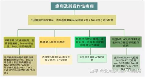 【生殖专题】遗传性癫痫？基因检测的产前诊断很有必要 知乎