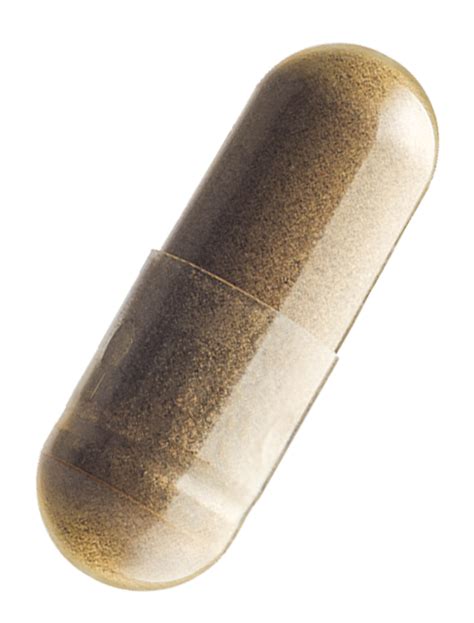 Capsule Manufacturer - Centaur Nutraceuticals