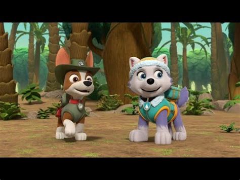 PAW Patrol Everest And Tracker S Teamwork Pups Save A Playful