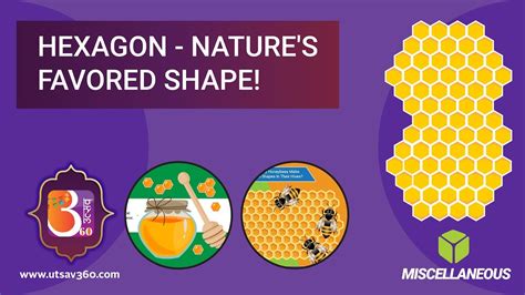 Know Why Honeybees Make Hexagon Shapes In Their Hives Utsav 360 Youtube