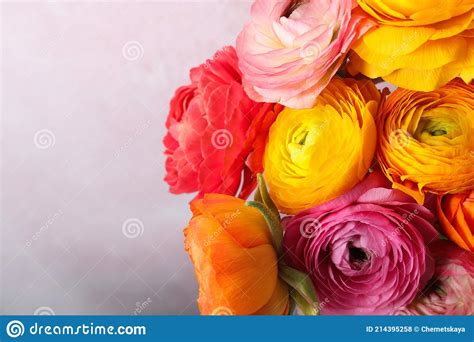 Beautiful Fresh Ranunculus Flowers On Color Background Closeup Stock