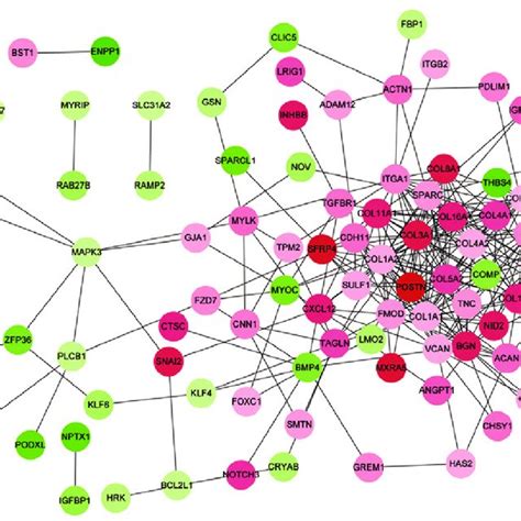 Protein Protein Interaction Network Of Degs In A Module 1 And B