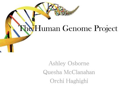 Ppt The Human Genome Project Powerpoint Presentation Free Download