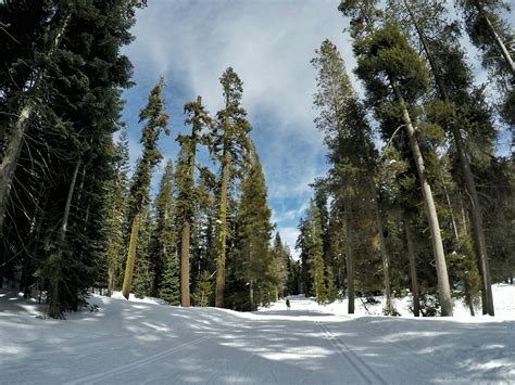 Yosemite Ski and Snowboard Area | Yosemite National Park Cross Country Skiing - The Bubbly Mermaid