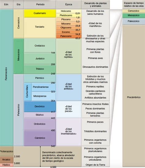 Linea De Tiempo Eras Geologicas Pdf Images