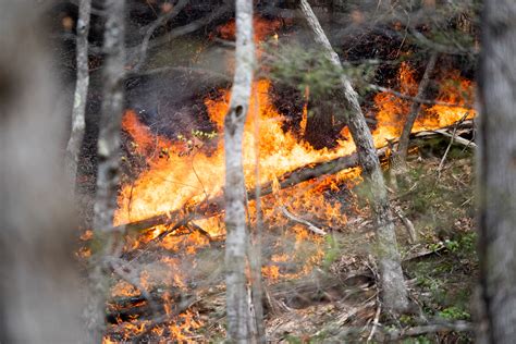 Flint Gap Fire In Great Smoky Mountains National Park Is 75 Contained