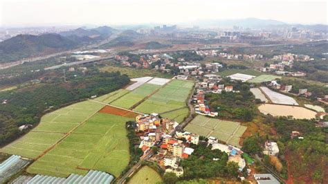 仲恺陈江幸福村建设美丽休闲与乡村旅游融合示范村 开启美丽乡村“幸福”之旅 惠州文明网