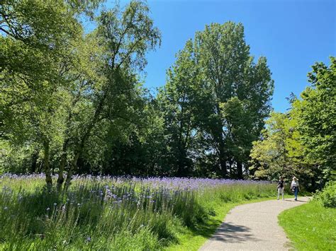 Beautiful parks in Amsterdam to visit - Sustainable Cities