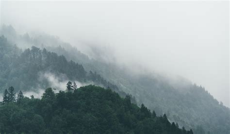 Free Images Landscape Tree Nature Forest Wilderness Snow Cloud