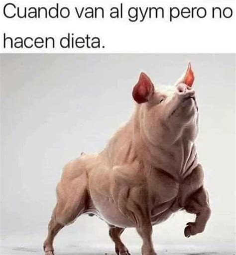 Gimnasio Sin Dieta Meme Subido Por Ezekeli Memedroid