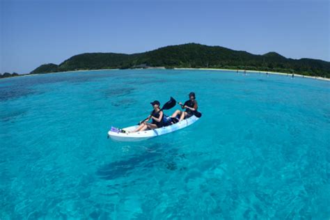 渡嘉敷島 ウミガメ の遊び・体験【アソビュー！】