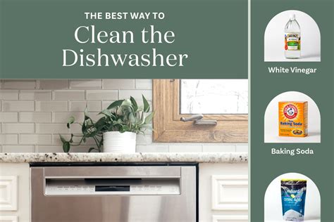 The Best Way to Clean a Dishwasher (Tested & Approved) | The Kitchn