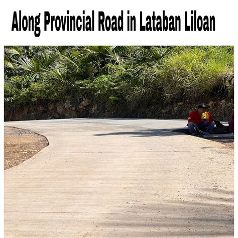 1200 PER SQM LOT FOR SALE IN LILOAN CEBU Lot August 2024 In