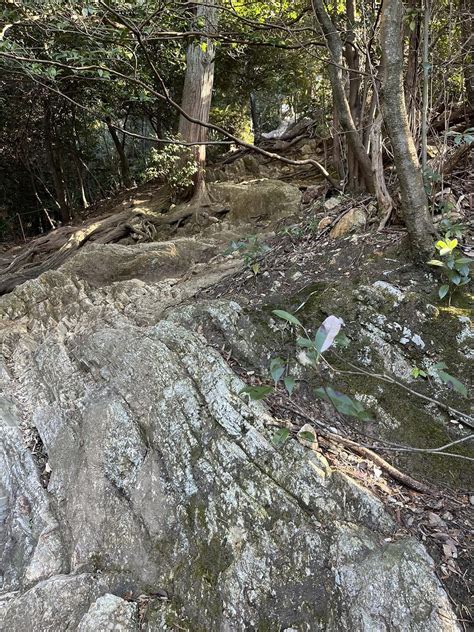 金華山 ヤッシーさんの金華山・洞山・舟伏山の活動データ Yamap ヤマップ