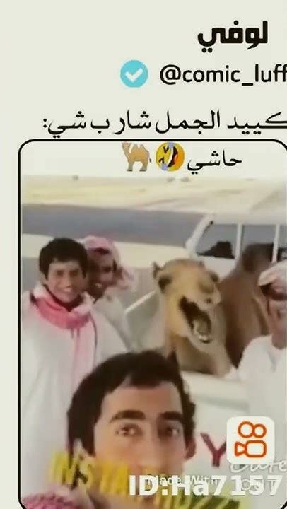 شارب الجمل 🤣🤣🤣🤣😂😂😂 Youtube