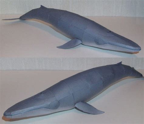 Blue whale papercraft by minidelirium on DeviantArt