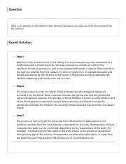 Answered What Is The Structure Of The Nephron Bartleby Pdf