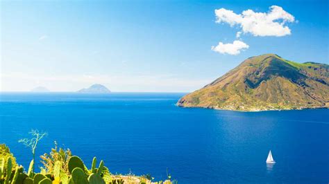 Lucertola Delle Eolie Al Via Al Progetto Per La Sua Salvaguardia