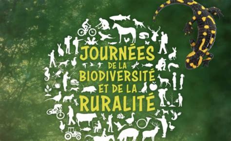 Régionale d Elevage du CEF en Normandie Club de l Epagneul Français