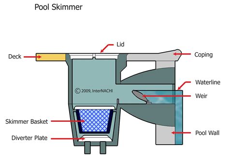 Pool Skimmer - Inspection Gallery - InterNACHI®