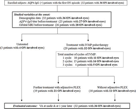 Frontiers Rapid Administration Of High-Dose Intravenous , 51% OFF