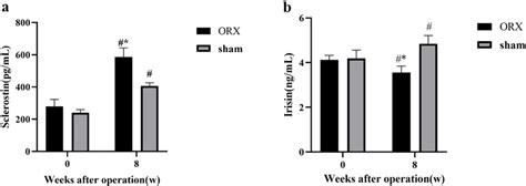 Change Of Serum Sclerostin And Irisin Levels After Orx Or Sham