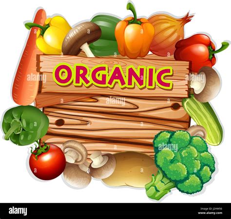 Organic Sign With Fresh Vegetables Illustration Stock Vector Image